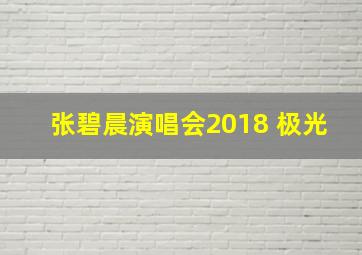 张碧晨演唱会2018 极光